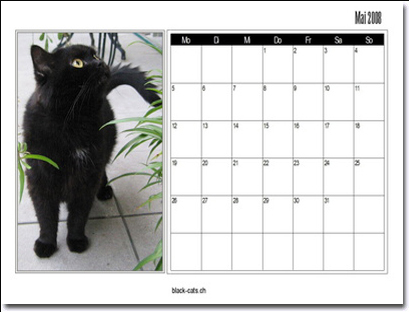 Highlight for Album: KALENDER black CATs